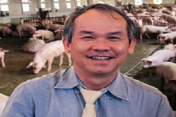 Kinh doanh - Heo ăn chuối mang về cho doanh nghiệp bầu Đức bao nhiêu tiền trong năm qua?