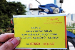 Tin tức trong ngày - Tin tức 24h qua: Bất ngờ khám xét Trung tâm đăng kiểm ở Mỹ Đình