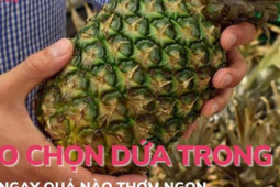 Ẩm thực - Mẹo chọn dứa chín trong 5 giây biết ngay quả thơm ngon