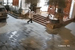 Bạn trẻ - Cuộc sống - Bố mẹ phát "cẩu lương" ngay tại nhà, con gái xem lại camera chỉ biết ngậm ngùi