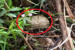 Thế giới - Phát hiện quả bom 7kg chực chờ lấy mạng Phó Tổng thống quốc gia Nam Mỹ