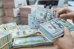 Kinh doanh - Tỷ giá USD hôm nay 12/1: Quay đầu giảm nhẹ