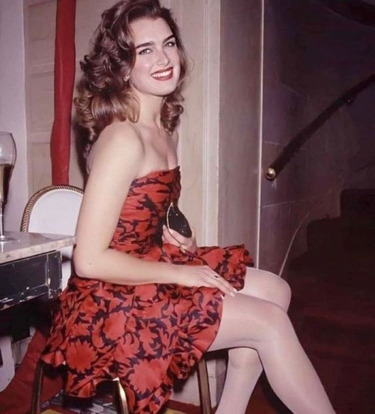 Khi trưởng thành Brooke Shields vẫn giữ được vẻ ngoài ấn tượng. Ngoài ra, cô còn cao đến 1m83. Brooke Shields không phải là người "cuồng" làm đẹp nhưng cô biết cách chăm sóc bản thân tốt nhất.
