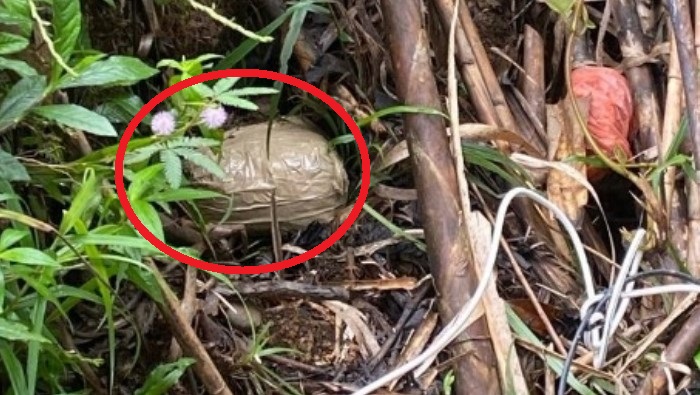 Quả bom (khoanh đỏ) đặt bên một con đường dẫn về nhà của Phó Tổng thống Colombia. Ảnh: Twitter