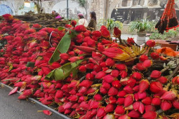 Thị trường - Tiêu dùng - Hoa rừng xuống phố giá 50.000 đồng/bông, chị em mua cả nghìn bông về chơi Tết