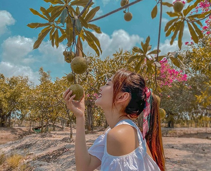 Ngoài biệt thự, căn hộ, Minh Hằng còn sở hữu nhà vườn rộng 20.000m2 ở Nhơn Trạch, Đồng Nai. Tại đây, cô trồng nhiều rau củ, cây ăn trái, đào ao thả cá và nuôi nhiều gà. &nbsp;Mỗi cuối tuần, nữ ca sĩ thường cùng gia đình và bạn bè lái xe xuống nhà vườn để nghỉ ngơi, thư giãn.
