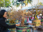 Đã mắt với "kỳ hoa" ở Đà Nẵng