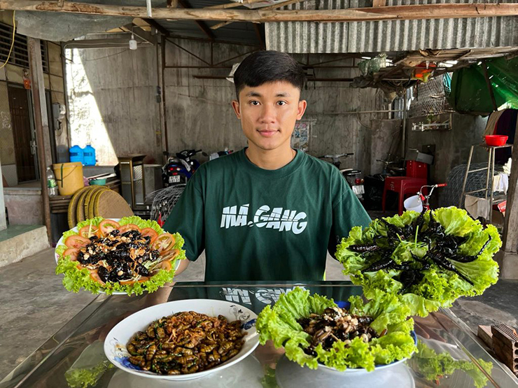 Do mỗi năm bọ rầy chỉ xuất hiện trong vài tháng, nên giá bán của loại côn trùng này tương đối cao, khoảng 300.000 đồng/kg
