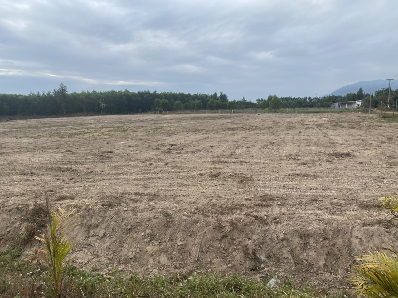 Lãi suất cho vay tăng cao đã khiến nhiều nhà đầu tư bất động sản sử dụng đòn bẩy tài chính gánh lãi còng lưng (Ảnh: Phan Chính)