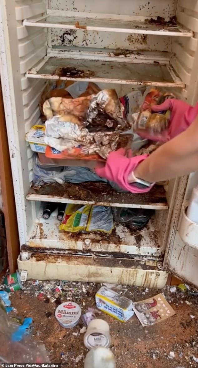 Auri Kananen gây sốc khi dọn tủ lạnh đã không được mở trong ba năm