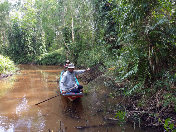 Ông Hải phấn khởi khi lọp dính được nhiều con cá đồng lớn