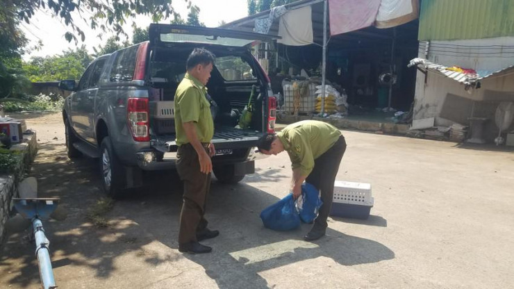 Lực lượng kiểm lâm tiếp nhận con trăn đất và khỉ đuôi dài từ người dân bàn giao. Ảnh: HT