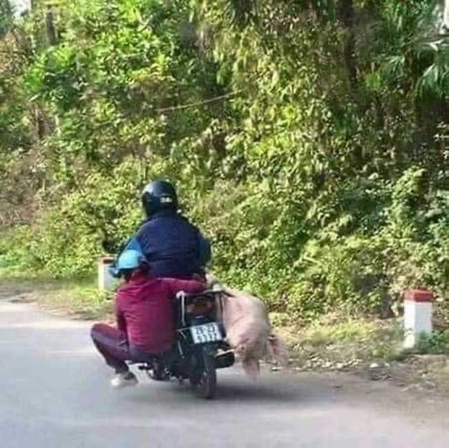 Để em &#34;cân bằng&#34; lại cuộc sống giúp anh nhé.
