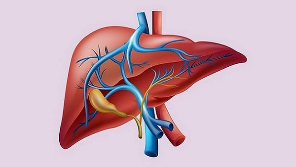 Tết Nguyên đán ăn uống nhiều dễ tích tụ độc tố, hãy thanh lọc ruột, giải độc gan bằng cách này - 1