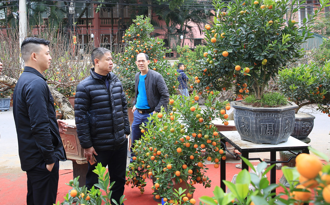 Rộn ràng không khí mua sắm quất cảnh tại huyện Đan Phượng.