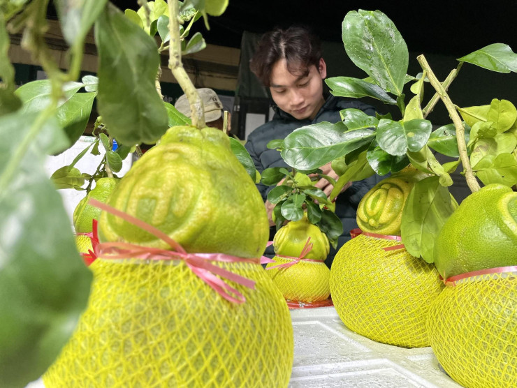 Bưởi hồ lô có giá 350.000 đồng/quả được nhiều người quan tâm.