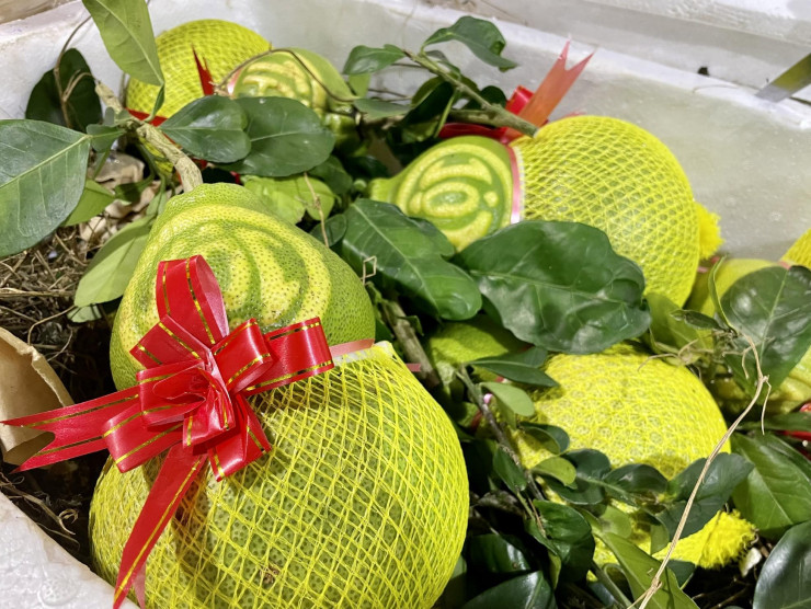 Anh Phạm Minh Tuấn, 48 tuổi, chủ cửa hàng bưởi hồ lô ở chợ Long Biên, cho biết, bưởi được nhập từ miền Tây. Bưởi được tạo hình hồ lô biểu tượng cho sự an lành, dồi dào sức khỏe. Tài là tài năng, cũng có nghĩa là tiền tài. Lộc là thành quả lao động, là sự may mắn.