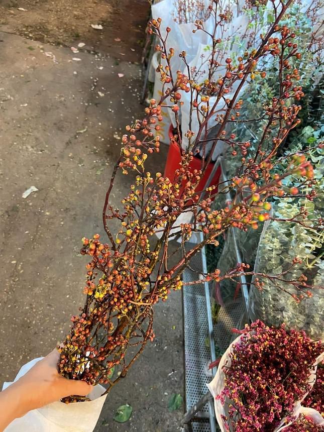 Đào hoa vàng chi chít nụ, khi căm vào nước sẽ nở ra những bông hoa đào màu vàng với mật độ dày trên cành (Ảnh: nongthonviet)