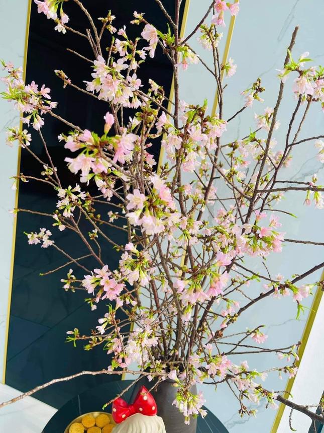 Anh đào Tây Bắc sắc hồng phớt "xuống phố" phục vụ người dân chơi Tết (Ảnh: Vũ Huyền)