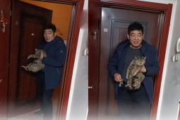 Bạn trẻ - Cuộc sống - Phản ứng hài hước của ông bố khi đưa "tiểu tam" về nhà gây sốt