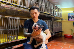 Thị trường - Tiêu dùng - Sở hữu những chú chó hàng trăm triệu, 9x tiết lộ thu nhập bất ngờ