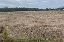 Kinh doanh - Bất động sản "đại hạ giá", nhà đầu tư mới bắt tay gom hàng