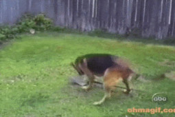 Tranh vui - Những khoảnh khắc "gậy ông đập lưng ông" khiến bao người không kịp trở tay