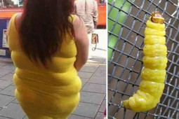 Tranh vui - Những sự trùng hợp bất ngờ trong cuộc sống khiến nhiều người bật cười