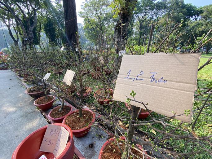 Mai bán tại Công viên Gia Định có treo bảng giá