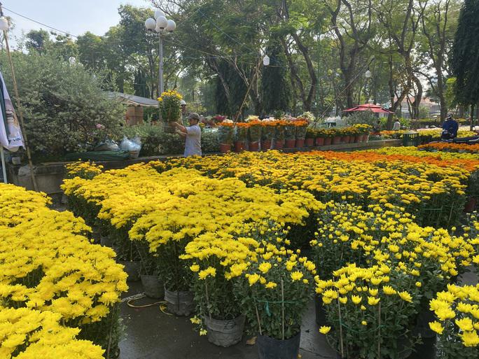 Hoa Tết ở TP HCM giảm giá sớm, khách thuê cả xe tải tới mua hàng - 6
