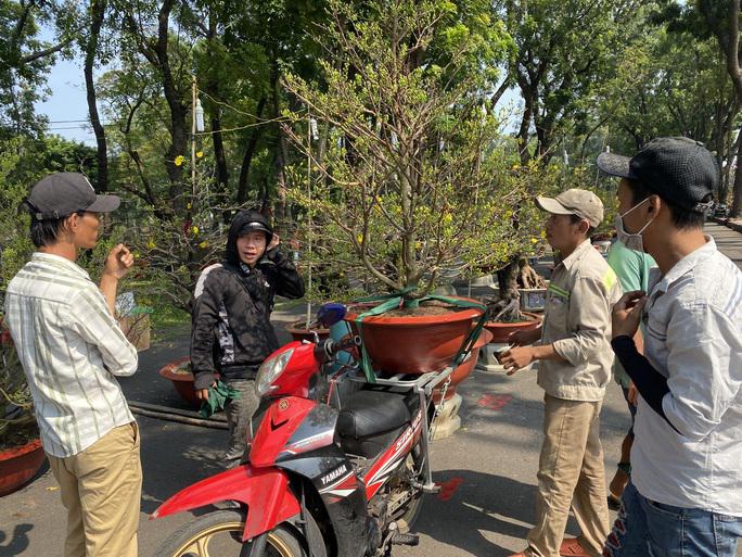 Khách cũng bắt đầu chọn được những cây mai ưng ý