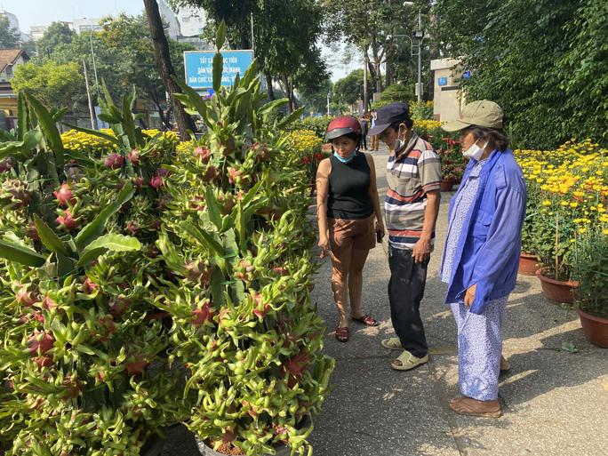 Thanh long có giá từ 3-7 triệu đồng/cặp