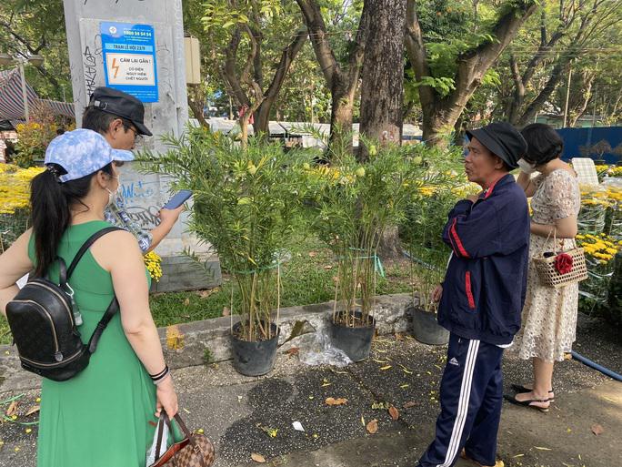 Khách chọn mua cây vạn lộc với giá 400.000 đồng/cặp