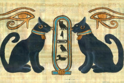 Tin tức trong ngày - Mèo trong văn hóa Việt: Vì sao gần gũi nhưng lại ít tính linh thiêng?