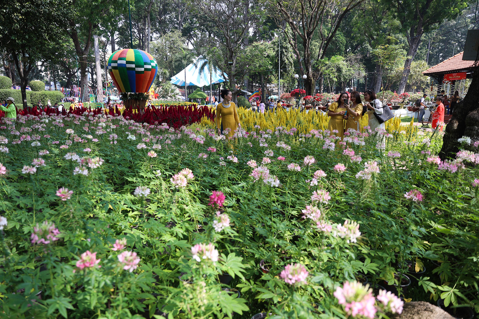 "Lạc bước" giữa kỳ hoa dị thảo tại hội hoa xuân ở TP.HCM - 8