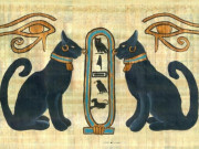 Mèo trong văn hóa Việt: Vì sao gần gũi nhưng lại ít tính linh thiêng?