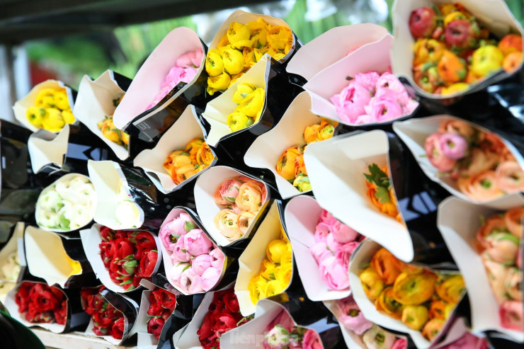 Muôn loài hoa thi nhau đua sắc trong các gian hàng tại chợ.