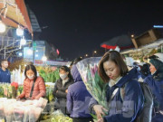 Đêm không ngủ ở chợ hoa lớn nhất Hà Nội giáp Tết