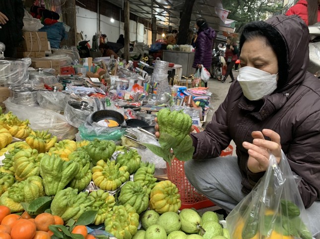 Những quả phật thủ bé nhưng giá đã 200.000 đồng
