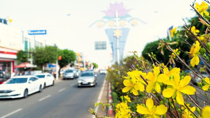 Mặc dù trồng ngay giữa quốc lộ, không được trông giữ nhưng do ý thức của người dân địa phương rất tốt nên hàng mai từ nhiều năm qua luôn được bảo vệ, giữ gìn.