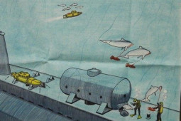 Thế giới - Tình báo Mỹ huấn luyện cá heo nhằm đánh chìm tàu đối thủ ra sao?