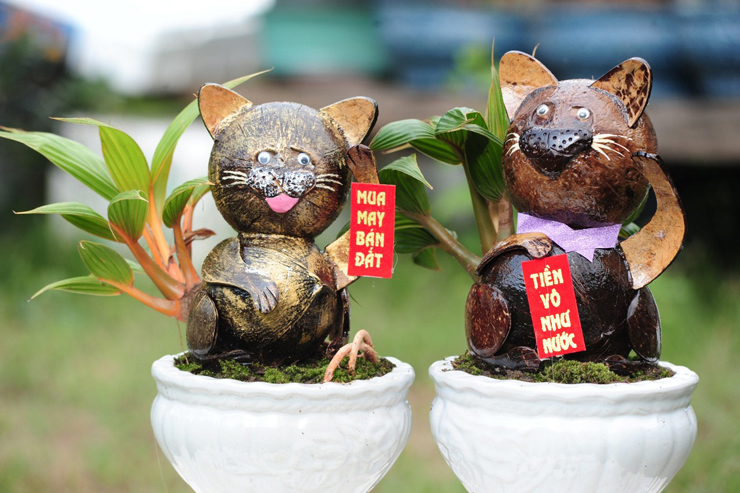 Dịp Tết năm nay, anh Lê Hồng Quân (huyện Châu Thành, Bến Tre) mới cho ra mắt thị trường những chậu bonsai dừa có hình mèo.
