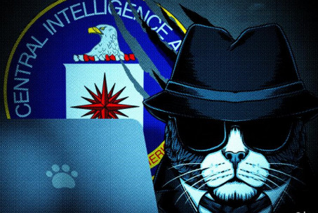CIA Mỹ đổ 20 triệu USD biến mèo thành "điệp viên" để tung vào Liên Xô ra sao?