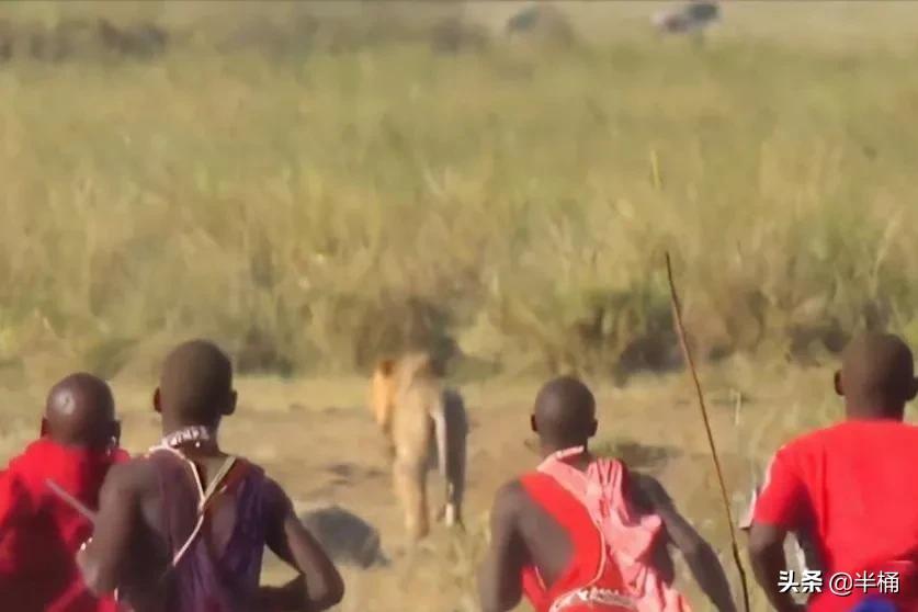 Các chiến binh Maasai săn sư tử. Ảnh: MinNews