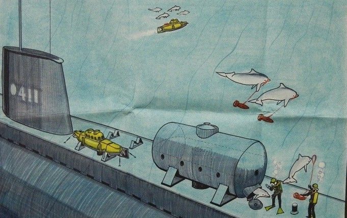 Minh họa cá heo tấn công tàu đối phương của CIA. Ảnh: CIA