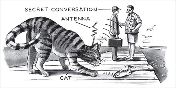 Vào thời kỳ Chiến tranh Lạnh, quan chức tình báo Mỹ đã ấp ủ kế hoạch theo dõi người Liên Xô ở thủ đô Washington, D.C bằng cách sử dụng mèo. Ảnh minh họa