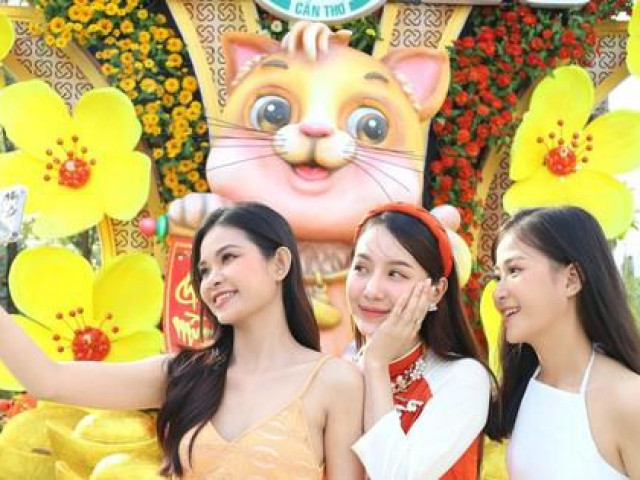 Bạn trẻ - Cuộc sống - Các 'bóng hồng' khoe sắc bên 'mèo vui nhộn, mèo duyên dáng' ở vườn hoa xuân Tây Đô