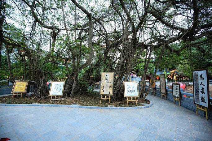 Clip: Ông đồ ngoại quốc cho chữ tại Văn Miếu - Quốc Tử Giám - 11