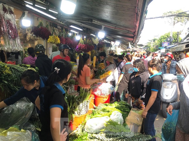 Nhiều tiểu thương quyết định giảm giá sớm để khách dễ mua sắm. Năm nay hoa về nhiều, ngoài hoa trong nước đưa từ các tỉnh Đà Lạt, Hà Nội..., chợ hoa còn bày bán nhiều loại hoa nhập khẩu mới lạ như Mimosa, hồng Ecuador, baby, mẫu đơn... có giá từ 70.000-150.000 đồng/bó, tùy loại.