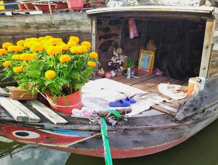 Những người trên ghe vẫn còn đi buôn bán mưu sinh. Chiều cuối năm, trên con thuyền cũ đã có vài chậu bông cúc đón giao thừa.